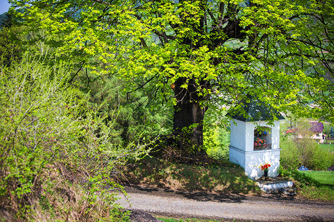 Kapliczka w Kamionce Małej