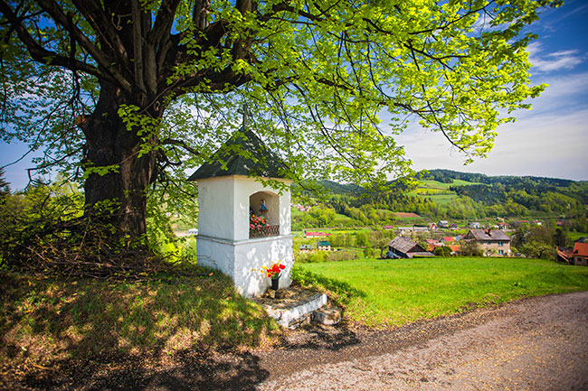 Kapliczka w Kamionce Małej