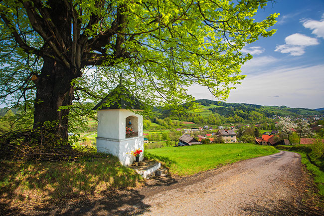 Kapliczka w Kamionce Ma�ej