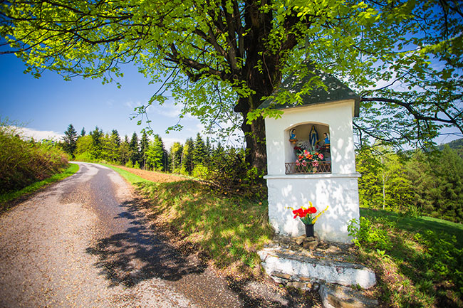 Kapliczka w Kamionce Ma�ej