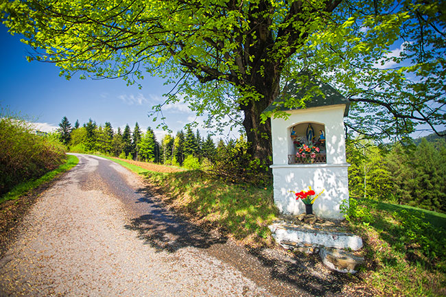 Kapliczka w Kamionce Ma�ej