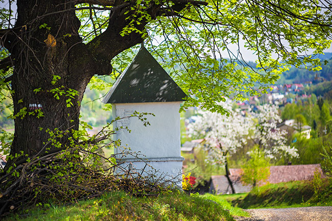 Kapliczka w Kamionce Małej