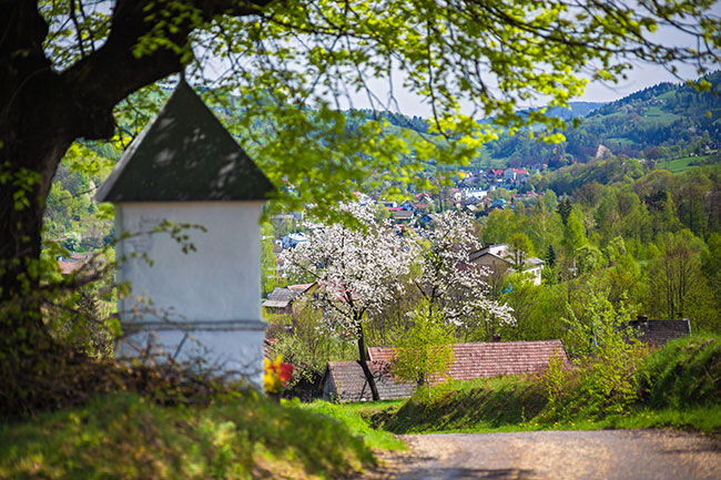 Kapliczka w Kamionce Małej