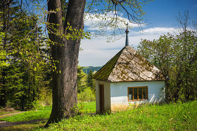Kapliczka w Kamionce Wielkiej